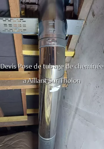 Devis Pose de tubage de cheminée a Aillant Sur Tholon