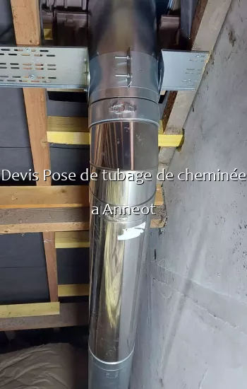 Devis Pose de tubage de cheminée a Anneot