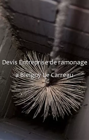 Devis Entreprise de ramonage a Bleigny Le Carreau