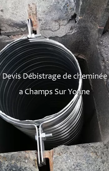 Devis Débistrage de cheminée a Champs Sur Yonne