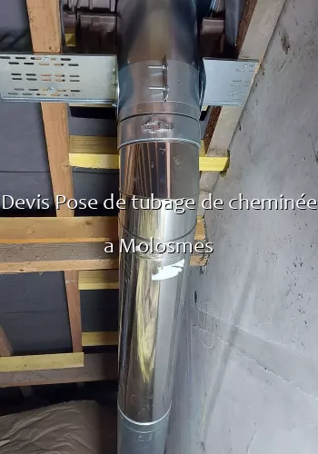 Devis Pose de tubage de cheminée a Molosmes