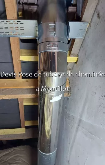 Devis Pose de tubage de cheminée a Montillot