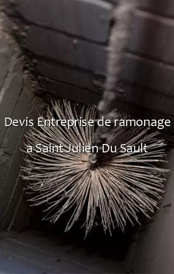 Devis Entreprise de ramonage a Saint Julien Du Sault