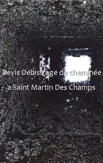 Devis Débistrage de cheminée a Saint Martin Des Champs