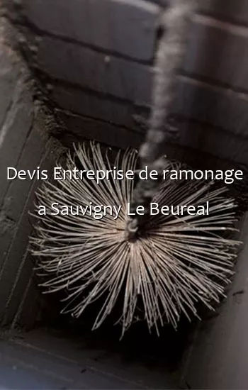 Devis Entreprise de ramonage a Sauvigny Le Beureal