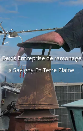 Devis Entreprise de ramonage a Savigny En Terre Plaine