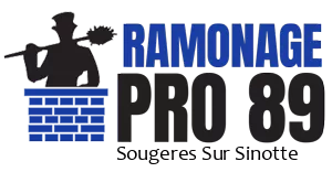 ramonage-ramonage-pro