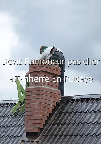 Devis Ramoneur pas cher a Tannerre En Puisaye