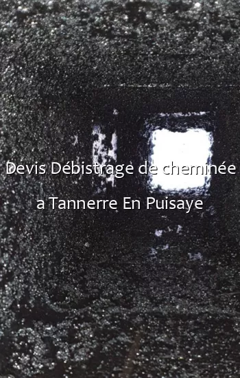 Devis Débistrage de cheminée a Tannerre En Puisaye
