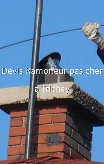 Devis Ramoneur pas cher a Trichey