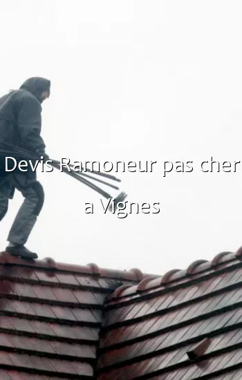 Devis Ramoneur pas cher a Vignes