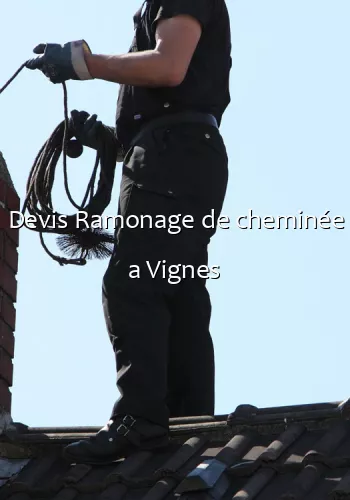 Devis Ramonage de cheminée a Vignes